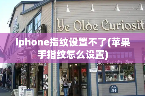 iphone指纹设置不了(苹果手指纹怎么设置)-第1张图片-星选测评