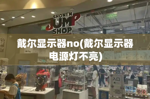 戴尔显示器no(戴尔显示器电源灯不亮)