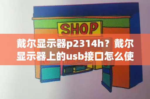 戴尔显示器p2314h？戴尔显示器上的usb接口怎么使用-第1张图片-星选测评