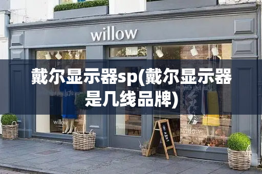 戴尔显示器sp(戴尔显示器是几线品牌)