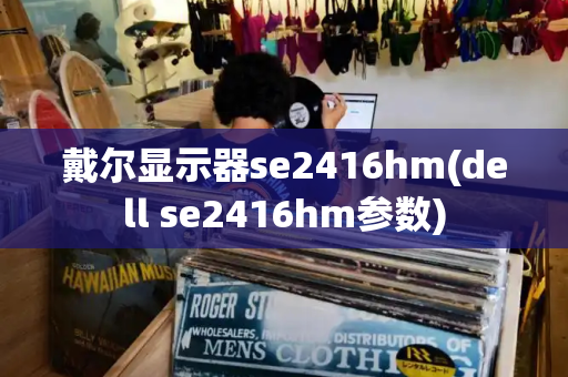 戴尔显示器se2416hm(dell se2416hm参数)-第1张图片-星选测评
