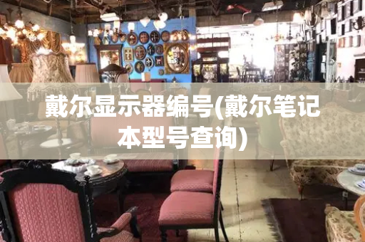 戴尔显示器编号(戴尔笔记本型号查询)