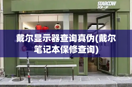 戴尔显示器查询真伪(戴尔笔记本保修查询)-第1张图片-星选测评