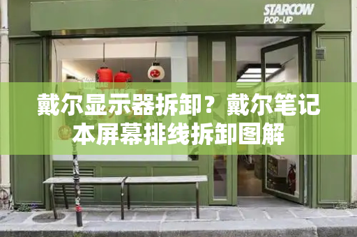 戴尔显示器拆卸？戴尔笔记本屏幕排线拆卸图解-第1张图片-星选测评