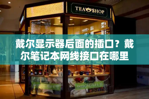 戴尔显示器后面的插口？戴尔笔记本网线接口在哪里-第1张图片-星选测评