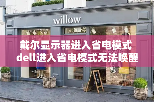 戴尔显示器进入省电模式 dell进入省电模式无法唤醒黑屏-第1张图片-星选测评
