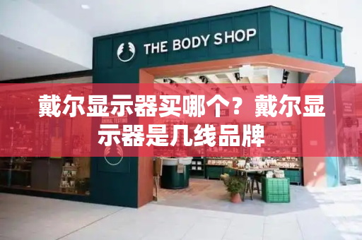 戴尔显示器买哪个？戴尔显示器是几线品牌
