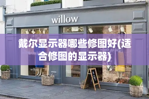戴尔显示器哪些修图好(适合修图的显示器)-第1张图片-星选测评