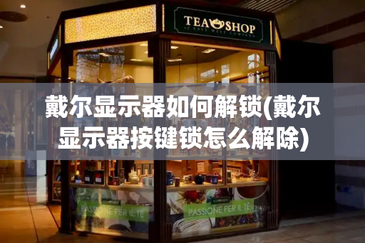 戴尔显示器如何解锁(戴尔显示器按键锁怎么解除)-第1张图片-星选测评