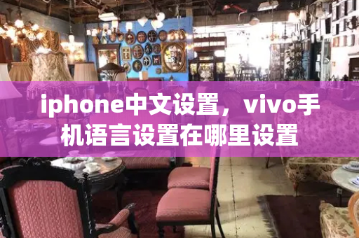 iphone中文设置，vivo手机语言设置在哪里设置
