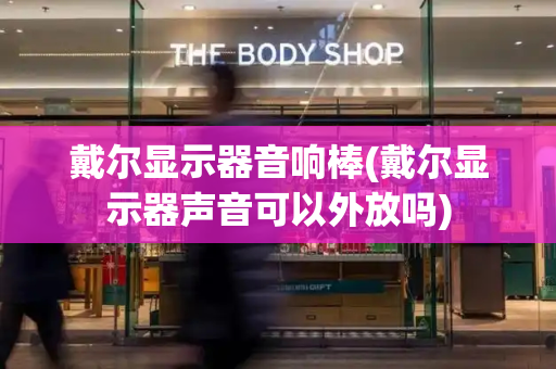 戴尔显示器音响棒(戴尔显示器声音可以外放吗)