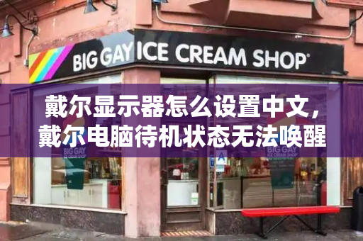 戴尔显示器怎么设置中文，戴尔电脑待机状态无法唤醒怎么办