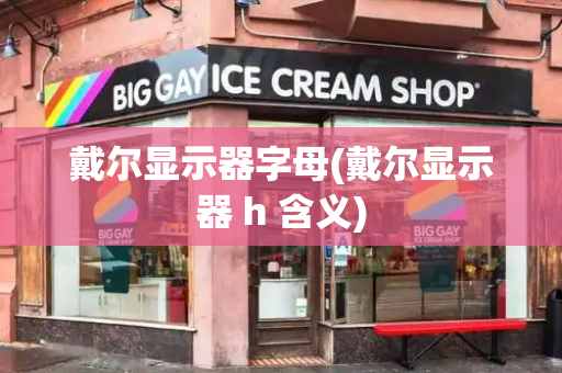 戴尔显示器字母(戴尔显示器 h 含义)-第1张图片-星选测评