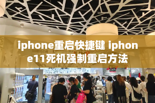 iphone重启快捷键 iphone11死机强制重启方法