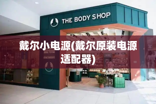 戴尔小电源(戴尔原装电源适配器)