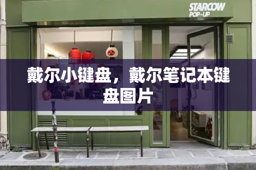 戴尔小键盘，戴尔笔记本键盘图片