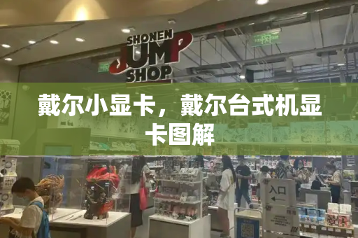 戴尔小显卡，戴尔台式机显卡图解-第1张图片-星选测评