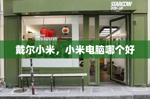 戴尔小米，小米电脑哪个好-第1张图片-星选测评