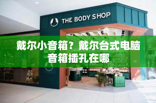 戴尔小音箱？戴尔台式电脑音箱插孔在哪-第1张图片-星选测评
