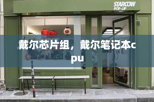 戴尔芯片组，戴尔笔记本cpu
