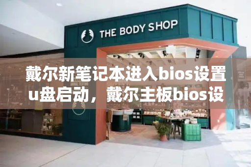 戴尔新笔记本进入bios设置u盘启动，戴尔主板bios设置u盘启动