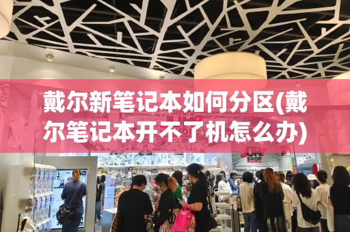 戴尔新笔记本如何分区(戴尔笔记本开不了机怎么办)-第1张图片-星选测评