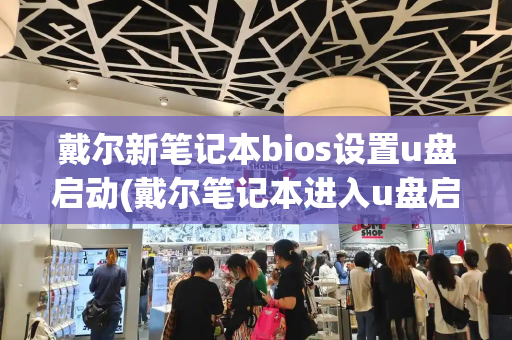 戴尔新笔记本bios设置u盘启动(戴尔笔记本进入u盘启动)