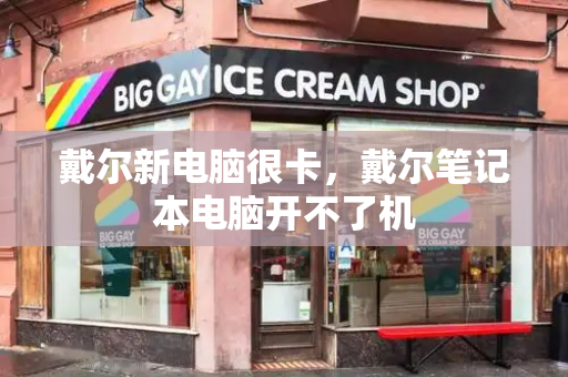 戴尔新电脑很卡，戴尔笔记本电脑开不了机-第1张图片-星选测评
