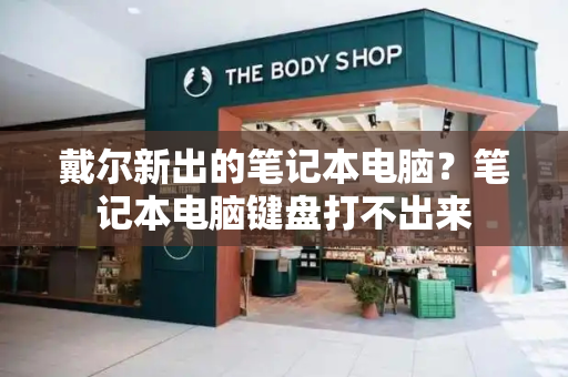 戴尔新出的笔记本电脑？笔记本电脑键盘打不出来-第1张图片-星选测评