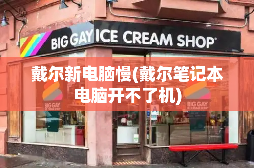 戴尔新电脑慢(戴尔笔记本电脑开不了机)-第1张图片-星选测评
