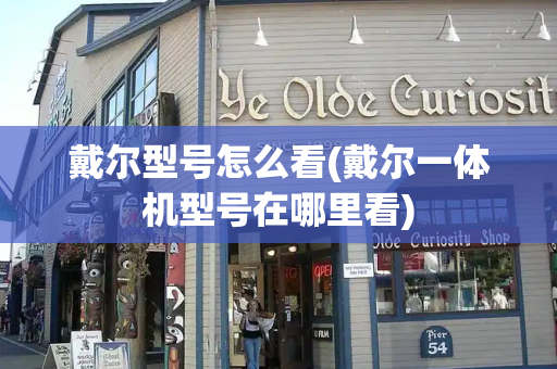 戴尔型号怎么看(戴尔一体机型号在哪里看)