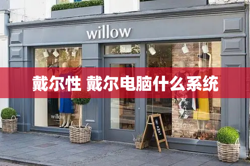 戴尔性 戴尔电脑什么系统-第1张图片-星选测评