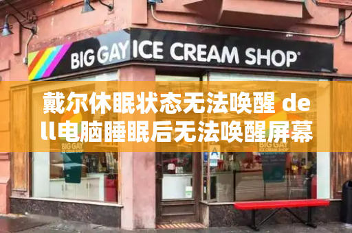 戴尔休眠状态无法唤醒 dell电脑睡眠后无法唤醒屏幕-第1张图片-星选测评