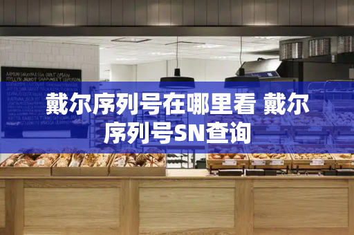 戴尔序列号在哪里看 戴尔序列号SN查询