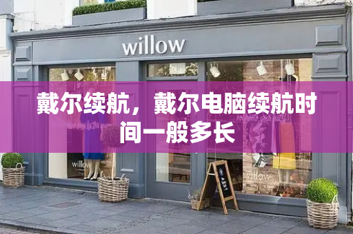 戴尔续航，戴尔电脑续航时间一般多长-第1张图片-星选测评