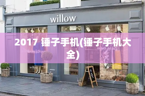 2017 锤子手机(锤子手机大全)