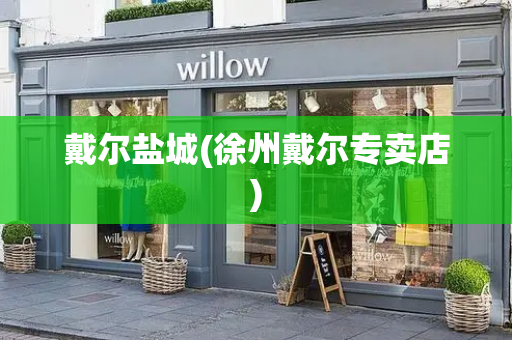 戴尔盐城(徐州戴尔专卖店)-第1张图片-星选测评