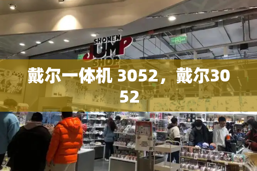 戴尔一体机 3052，戴尔3052