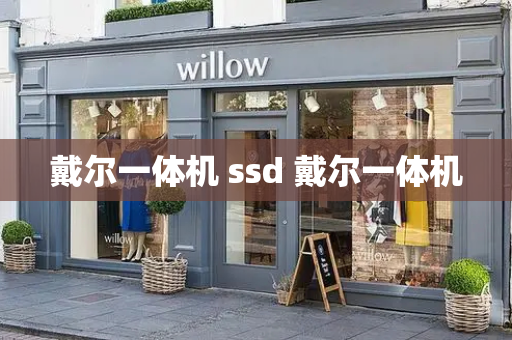 戴尔一体机 ssd 戴尔一体机