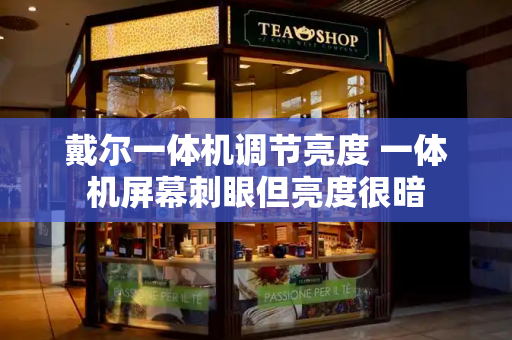 戴尔一体机调节亮度 一体机屏幕刺眼但亮度很暗-第1张图片-星选测评