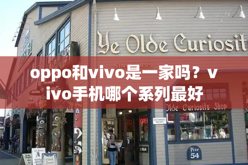 oppo和vivo是一家吗？vivo手机哪个系列最好