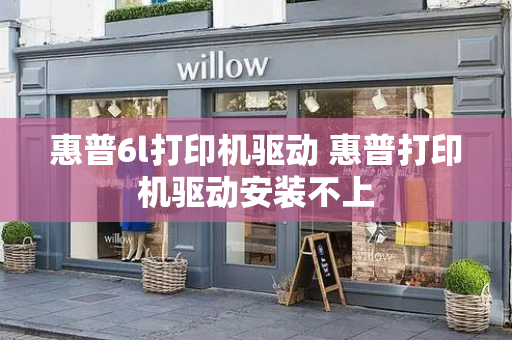 惠普6l打印机驱动 惠普打印机驱动安装不上-第1张图片-星选测评