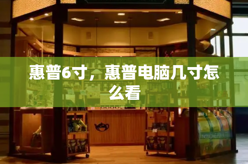 惠普6寸，惠普电脑几寸怎么看-第1张图片-星选测评