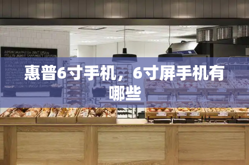 惠普6寸手机，6寸屏手机有哪些-第1张图片-星选测评
