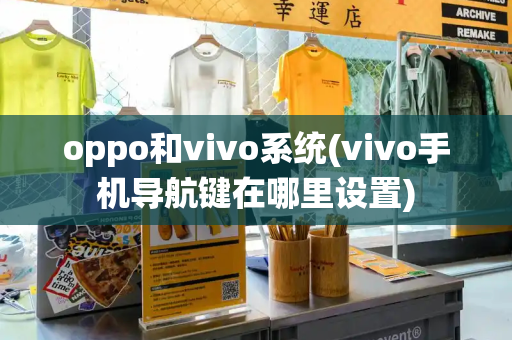 oppo和vivo系统(vivo手机导航键在哪里设置)