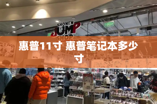 惠普11寸 惠普笔记本多少寸-第1张图片-星选测评