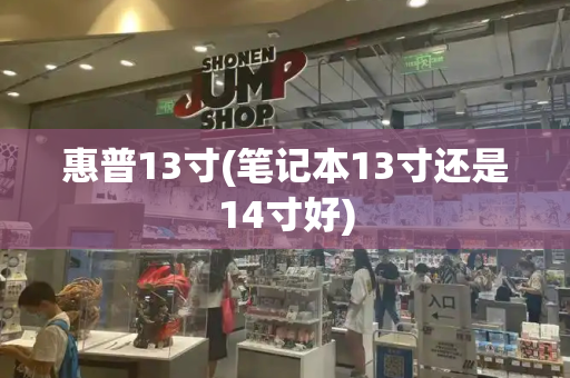 惠普13寸(笔记本13寸还是14寸好)