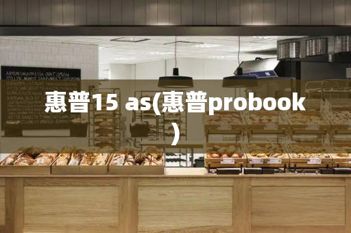 惠普15 as(惠普probook)-第1张图片-星选测评