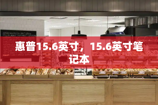 惠普15.6英寸，15.6英寸笔记本