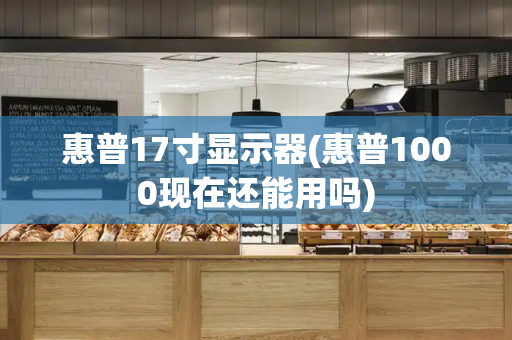 惠普17寸显示器(惠普1000现在还能用吗)